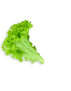 Verduras